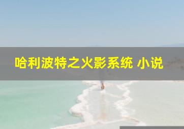 哈利波特之火影系统 小说